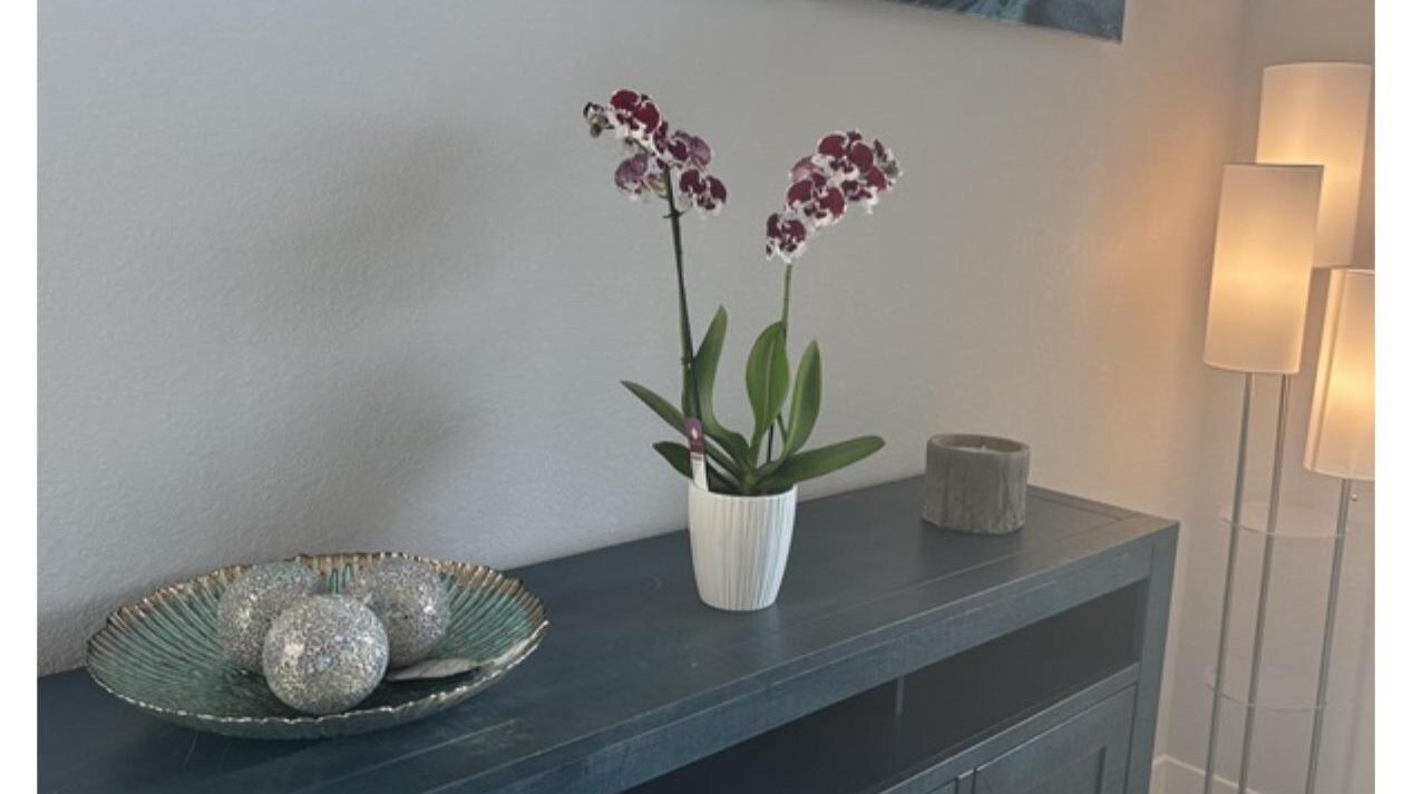 Sandi Villa - Image 8