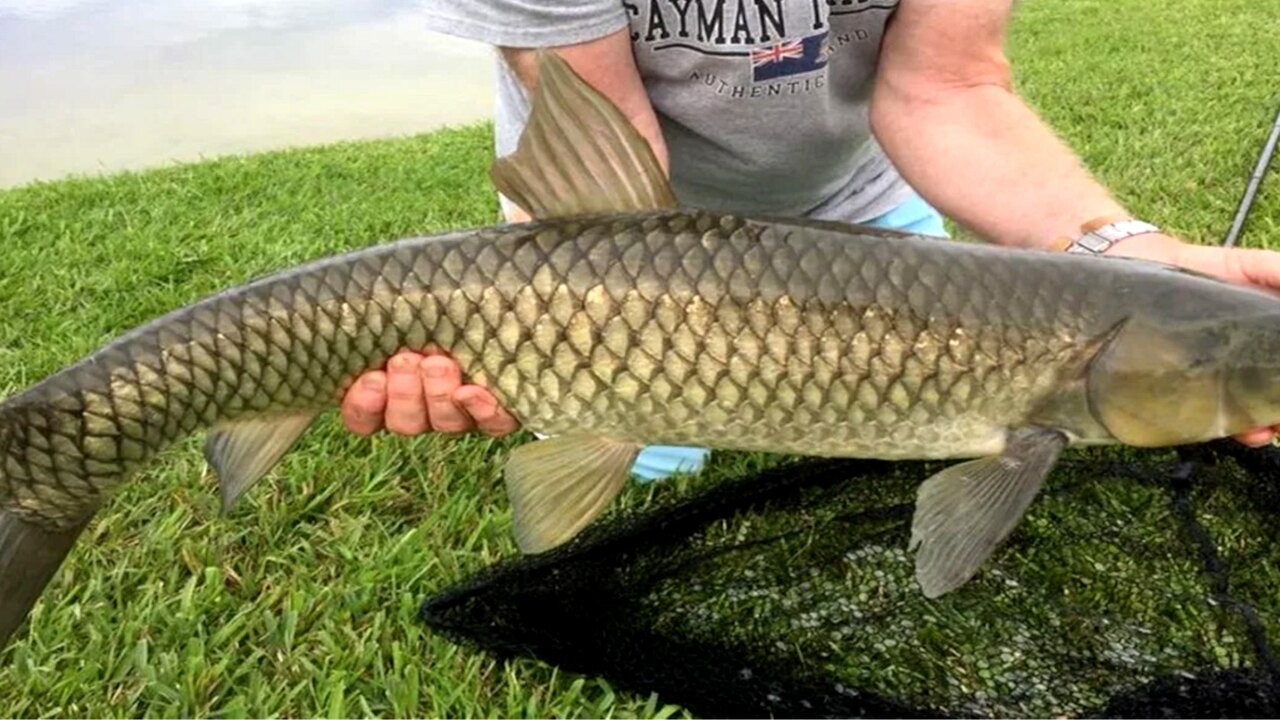 1061-Fun, Bright Pool Home Near Disney - Image 36