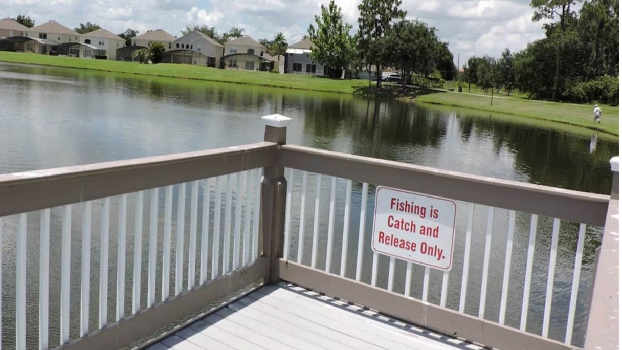 1061-Fun, Bright Pool Home Near Disney - Image 39