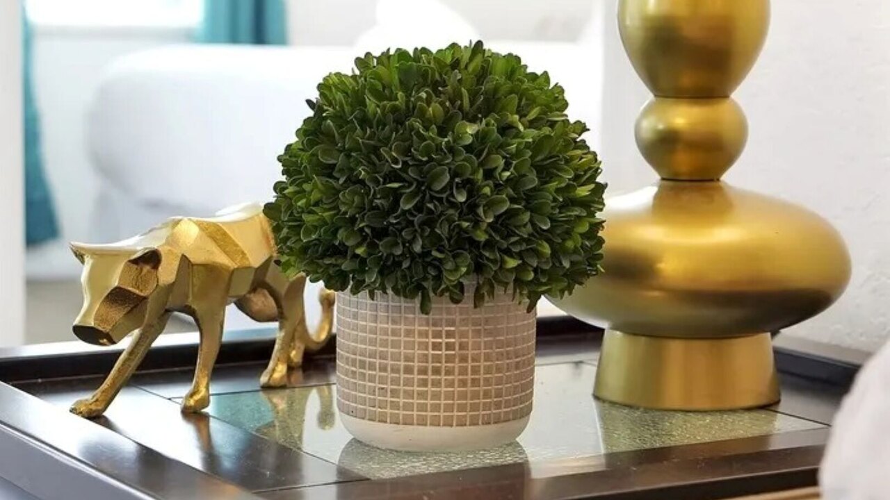 2632-MARG-LN - 2632 Marg lane - Image 14